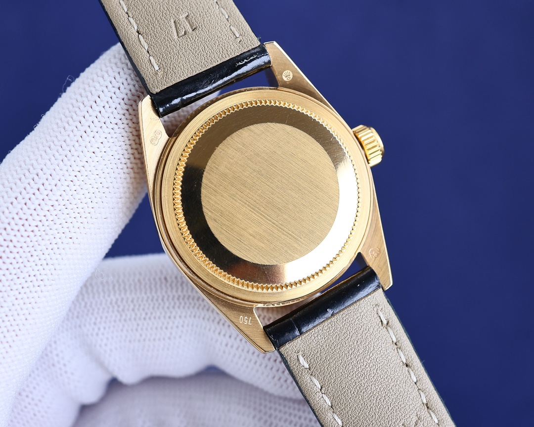 Oyster Perpetual Datejust Watch (Brown) - 图片 10