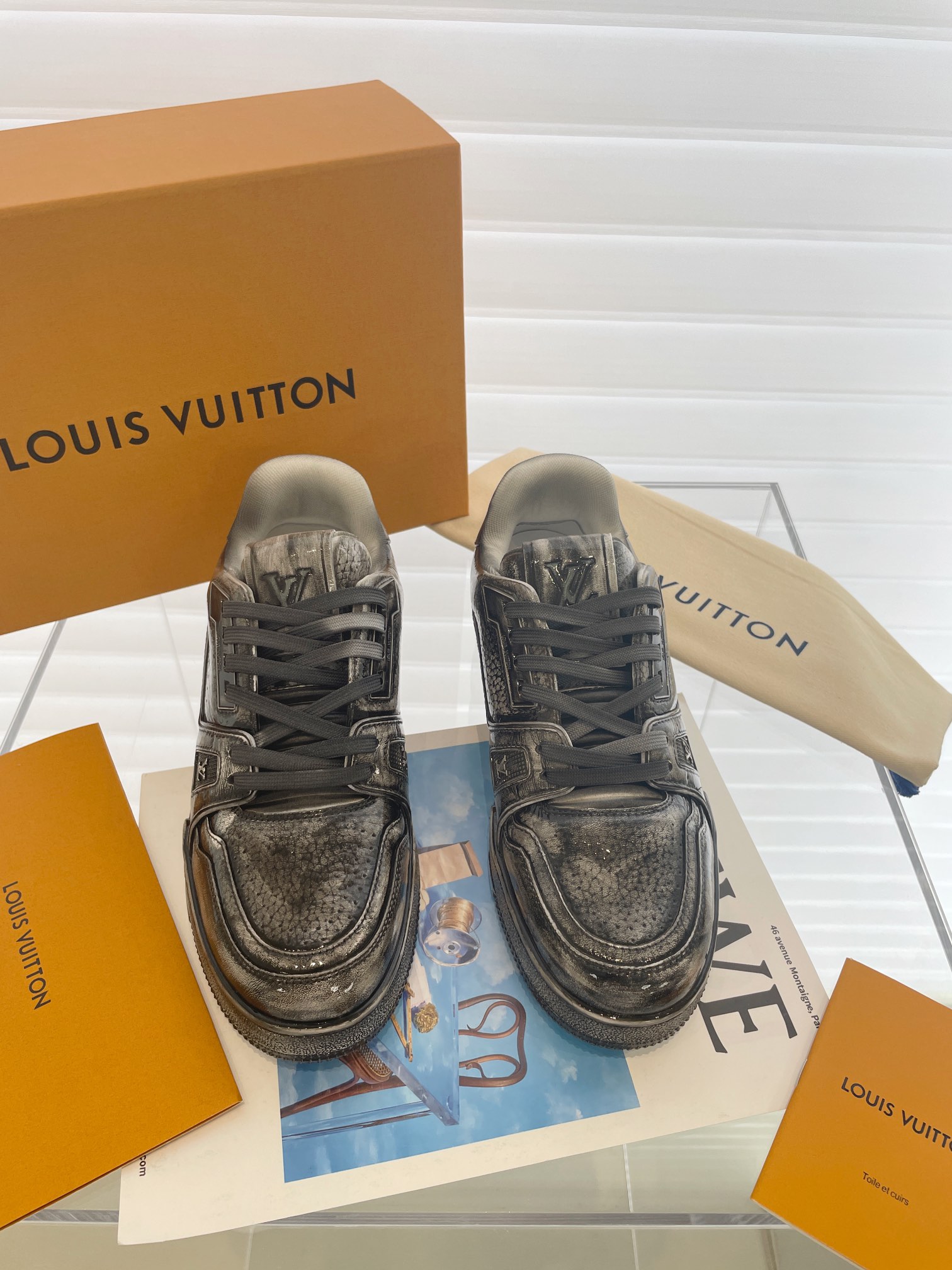 LV Trainer - 图片 9