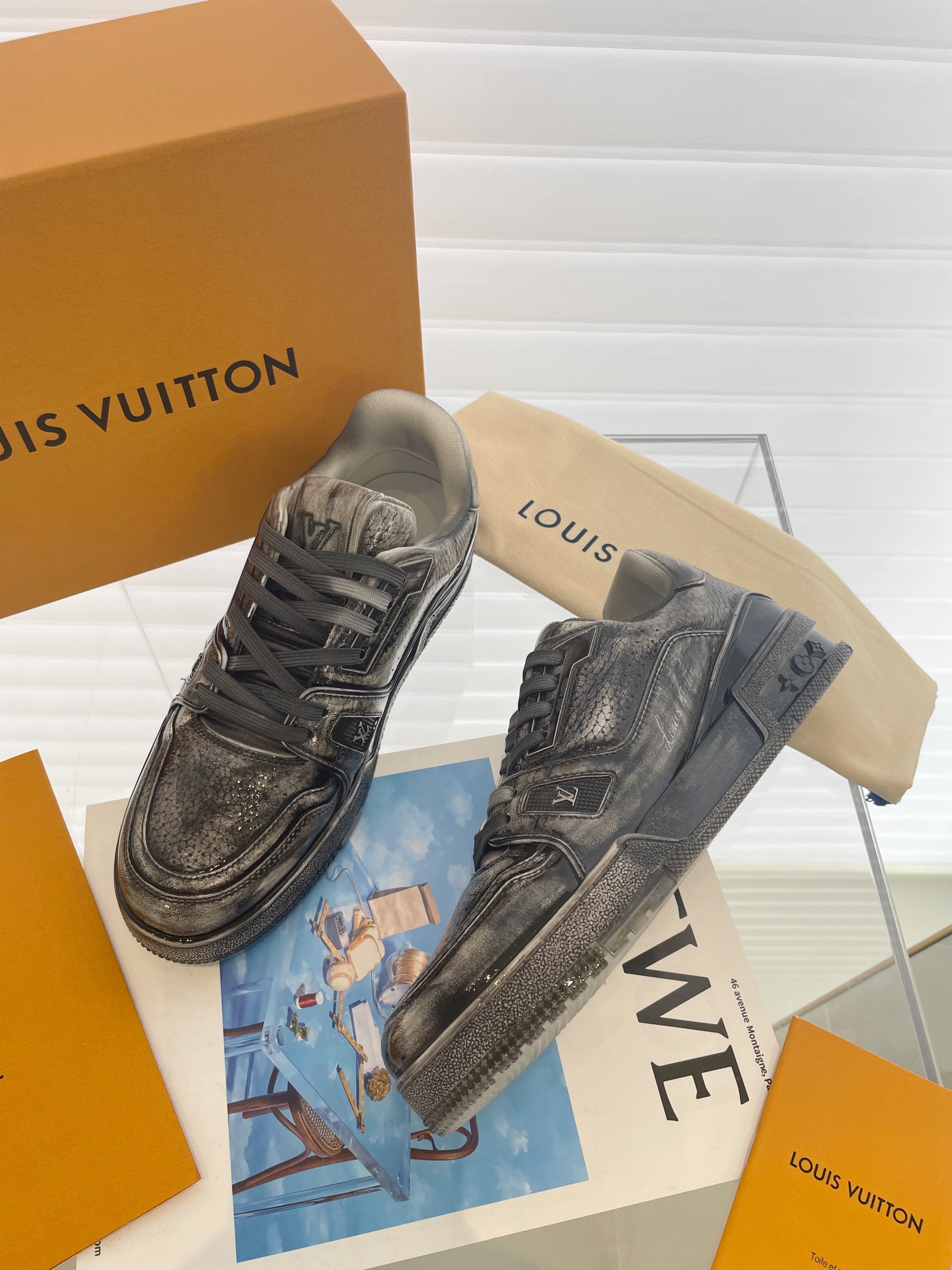 LV Trainer - 图片 7