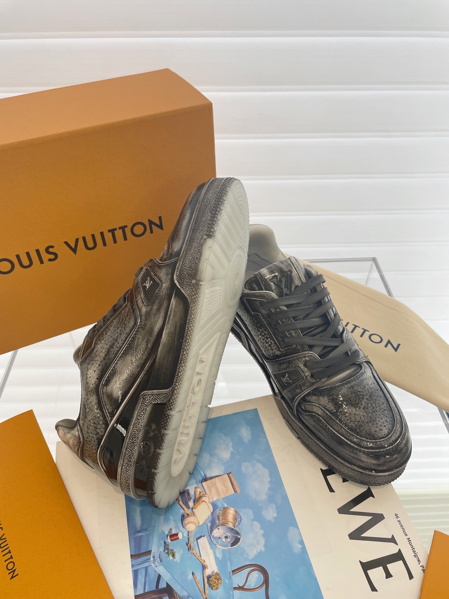 LV Trainer - 图片 3