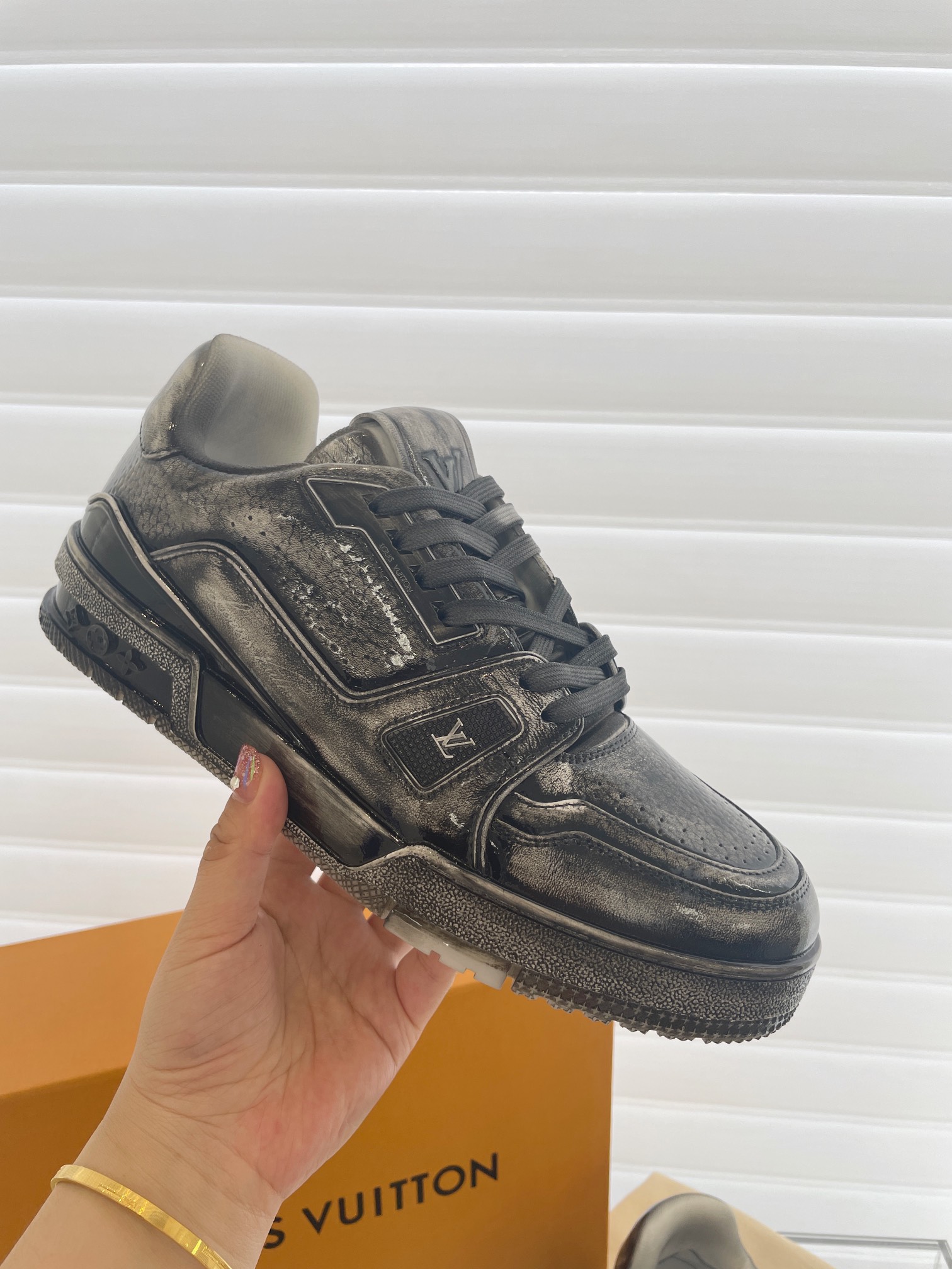 LV Trainer - 图片 2