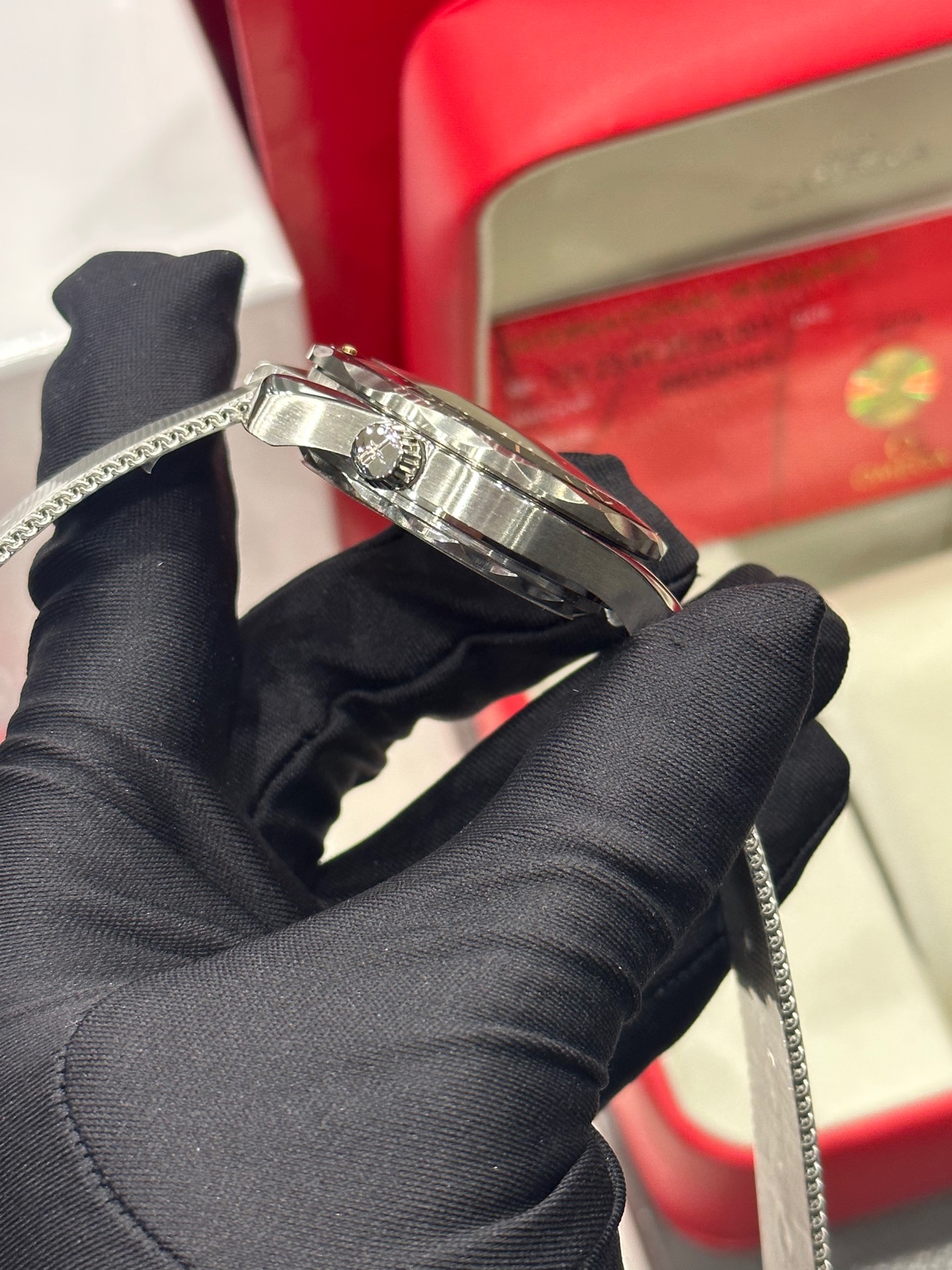 MEGASeamaster 300 - 图片 7