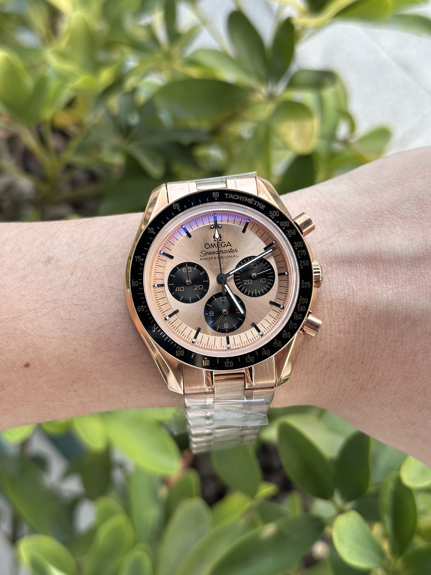 Speedmaster Racing SeriesThis classic and robust timepiece continues the glorious ocean legend - 图片 2