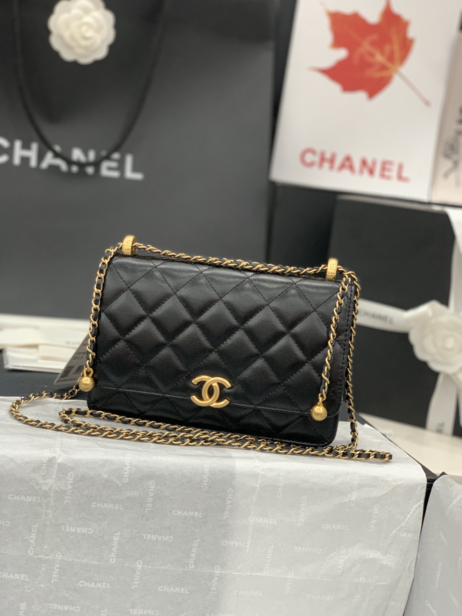 CHANEL-6 - 图片 2
