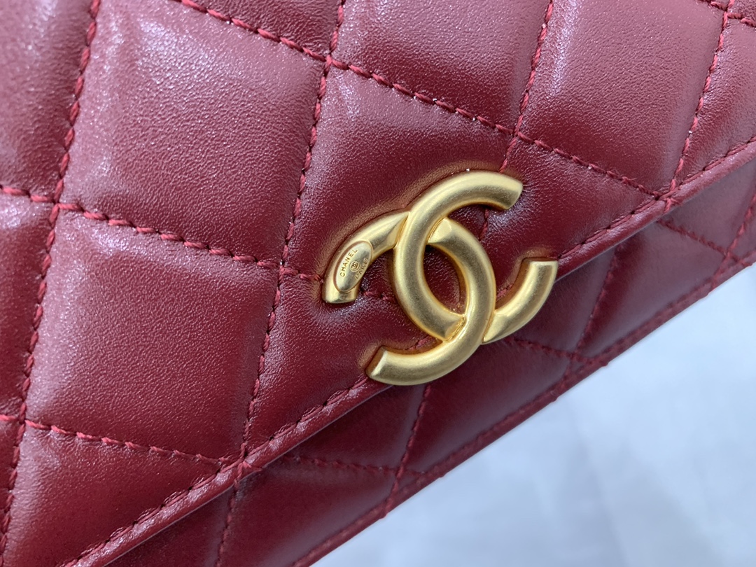 CHANEL-6 - 图片 15