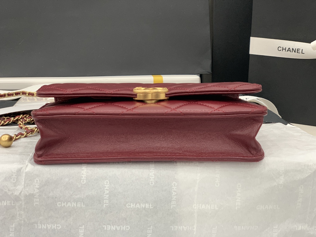 CHANEL-6 - 图片 16