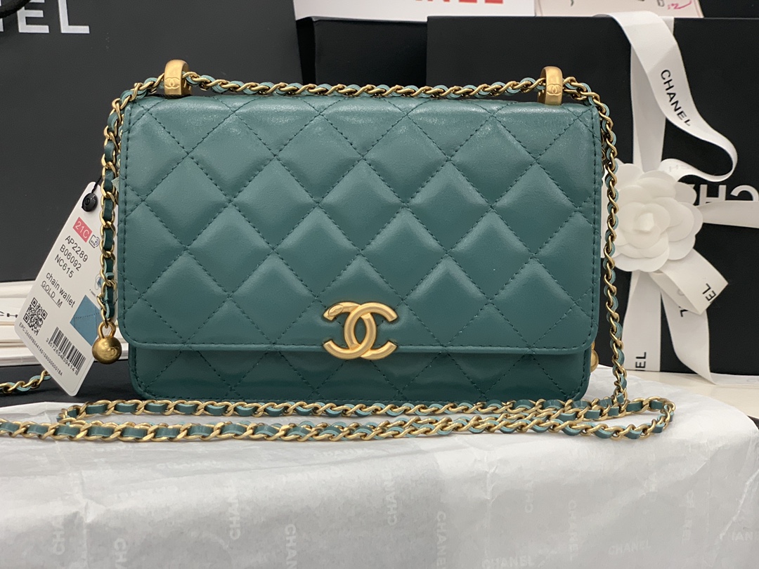 CHANEL-6 - 图片 21