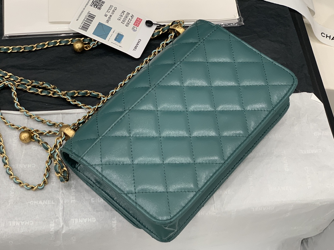 CHANEL-6 - 图片 23