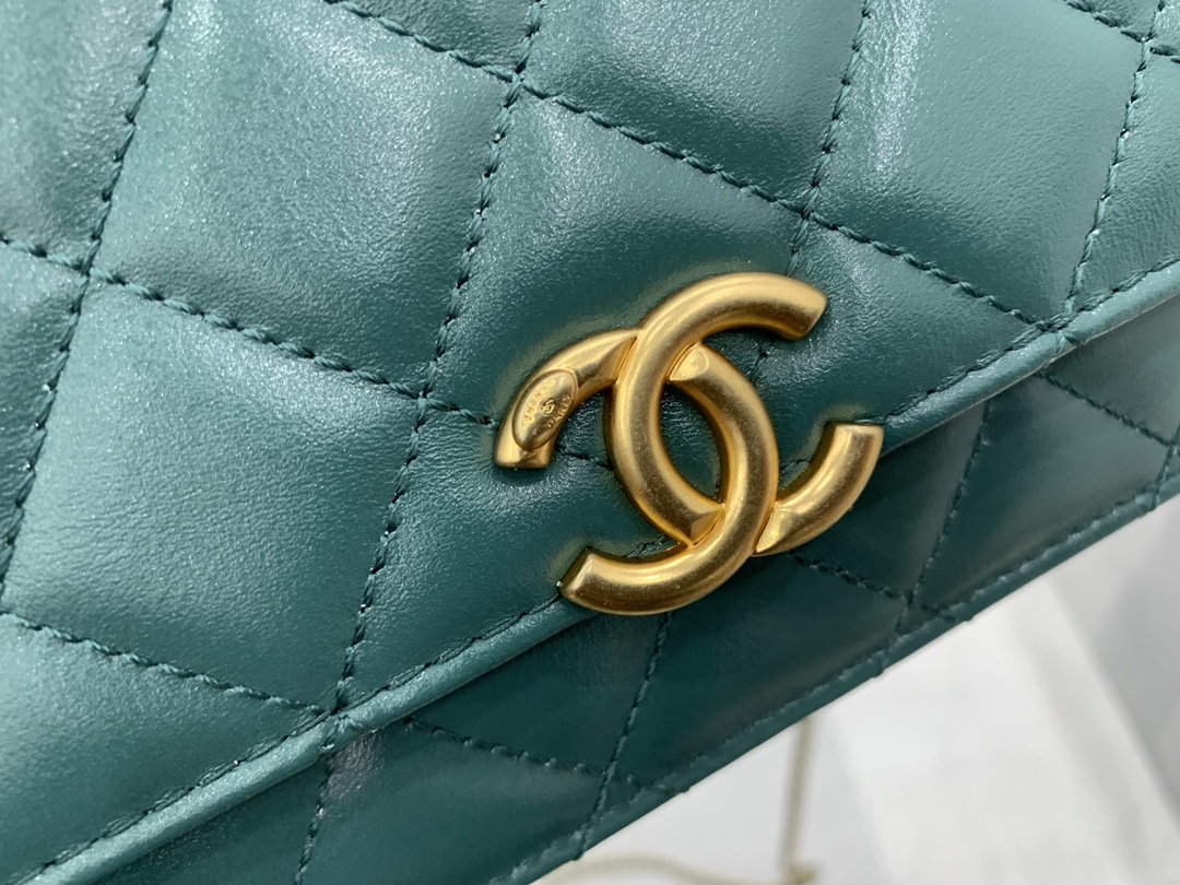 CHANEL-6 - 图片 24