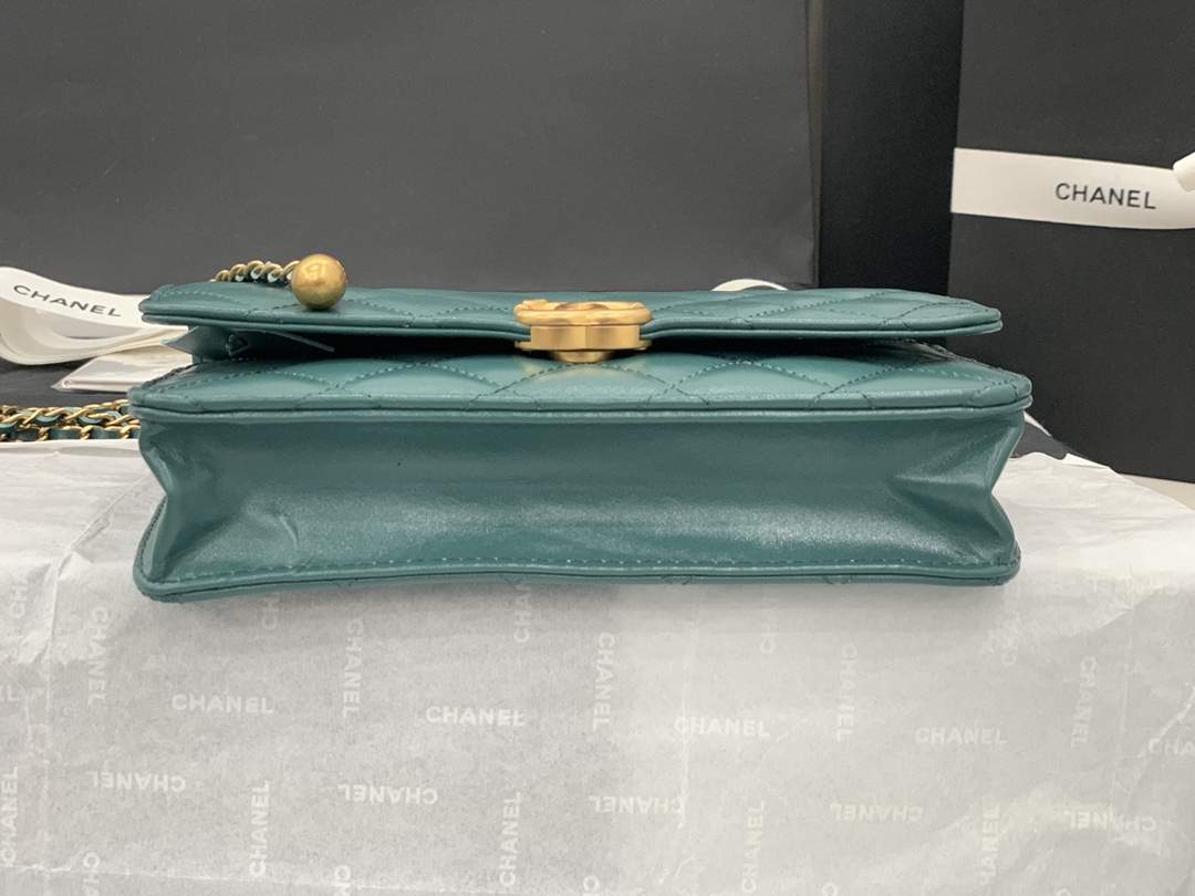 CHANEL-6 - 图片 25