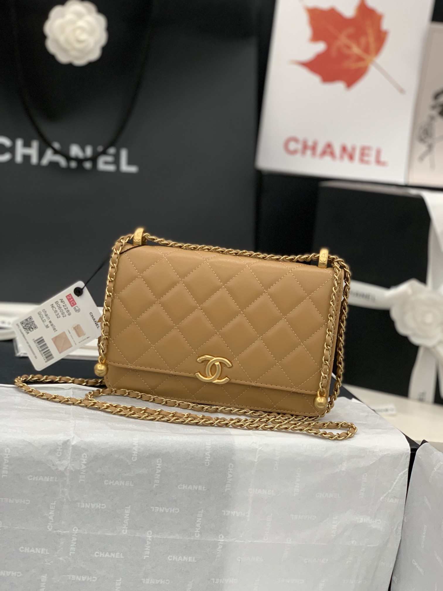CHANEL-6 - 图片 29
