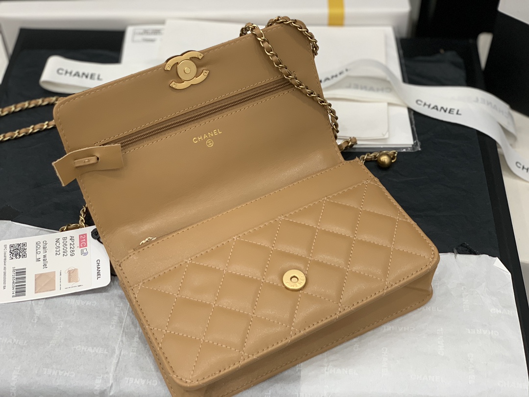 CHANEL-6 - 图片 35