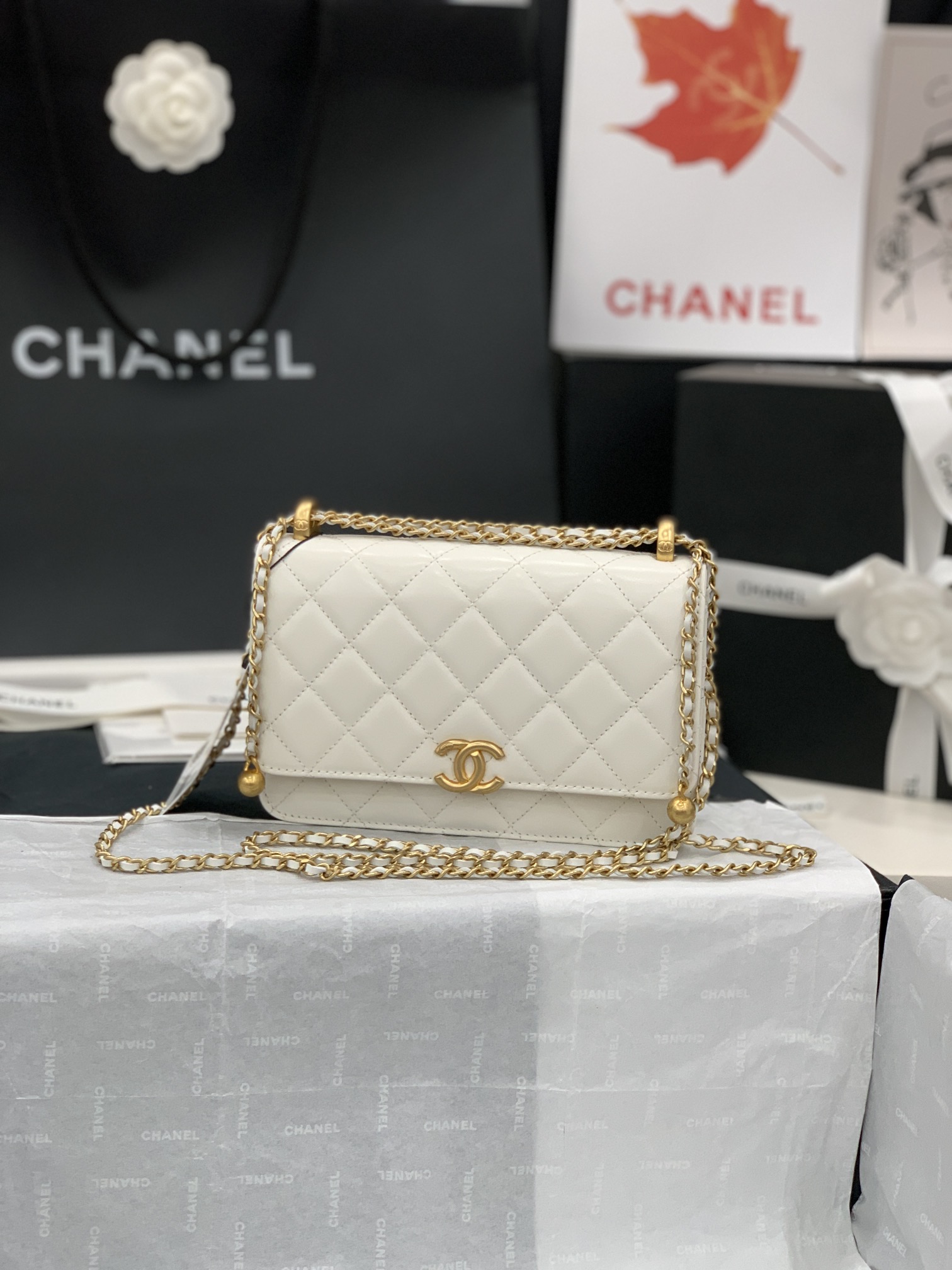 CHANEL-6 - 图片 38