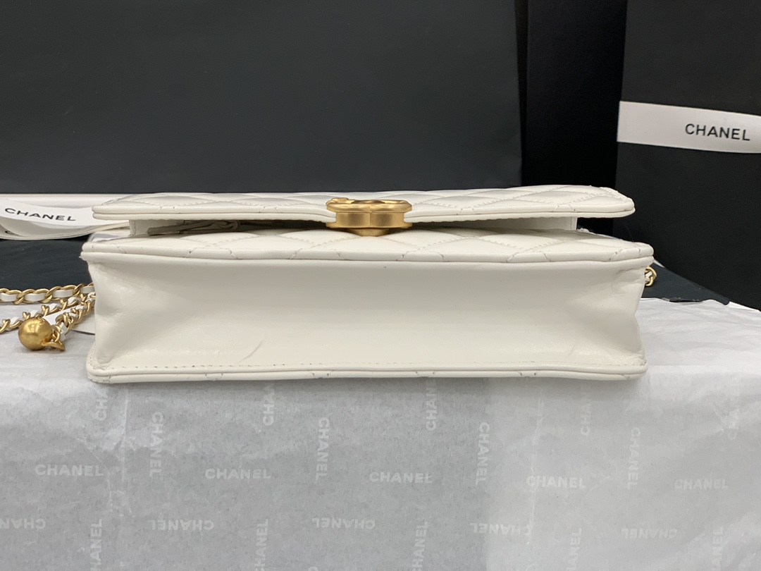 CHANEL-6 - 图片 43