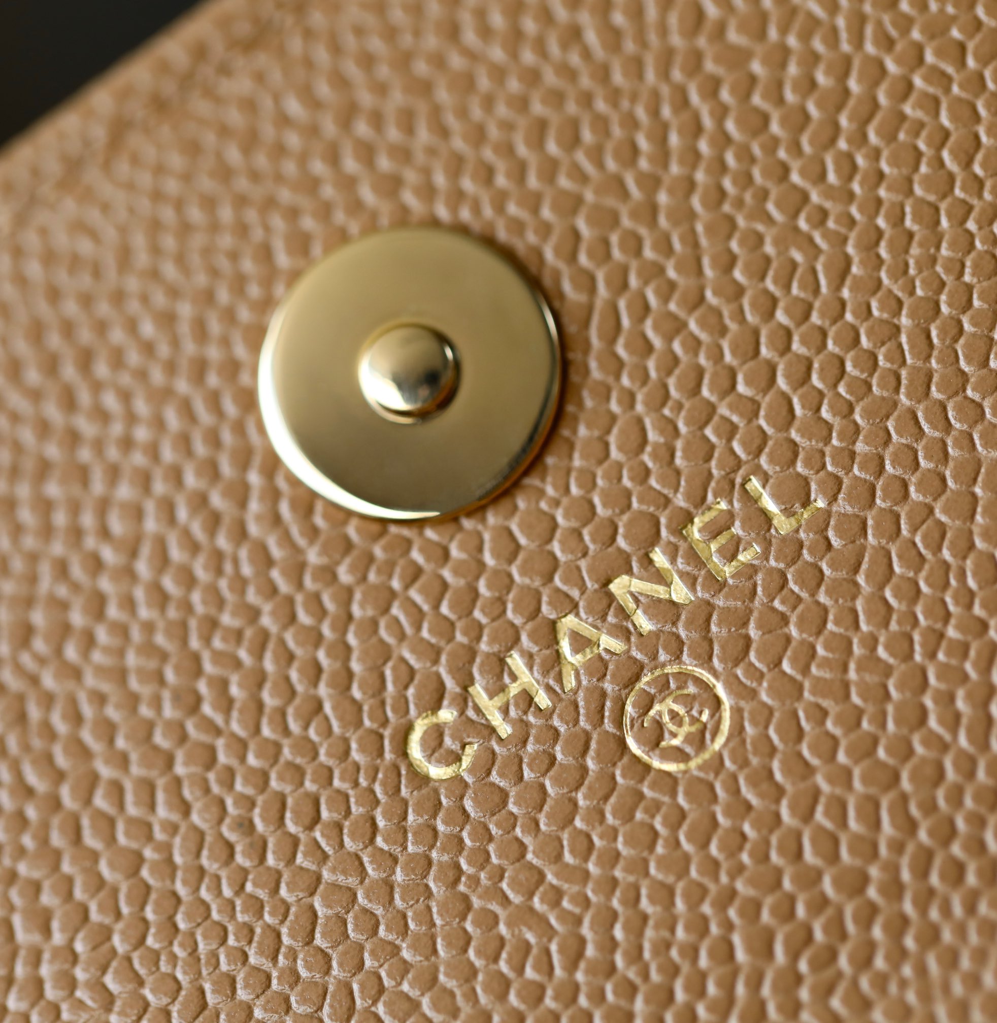 CHANEL-56 - 图片 16