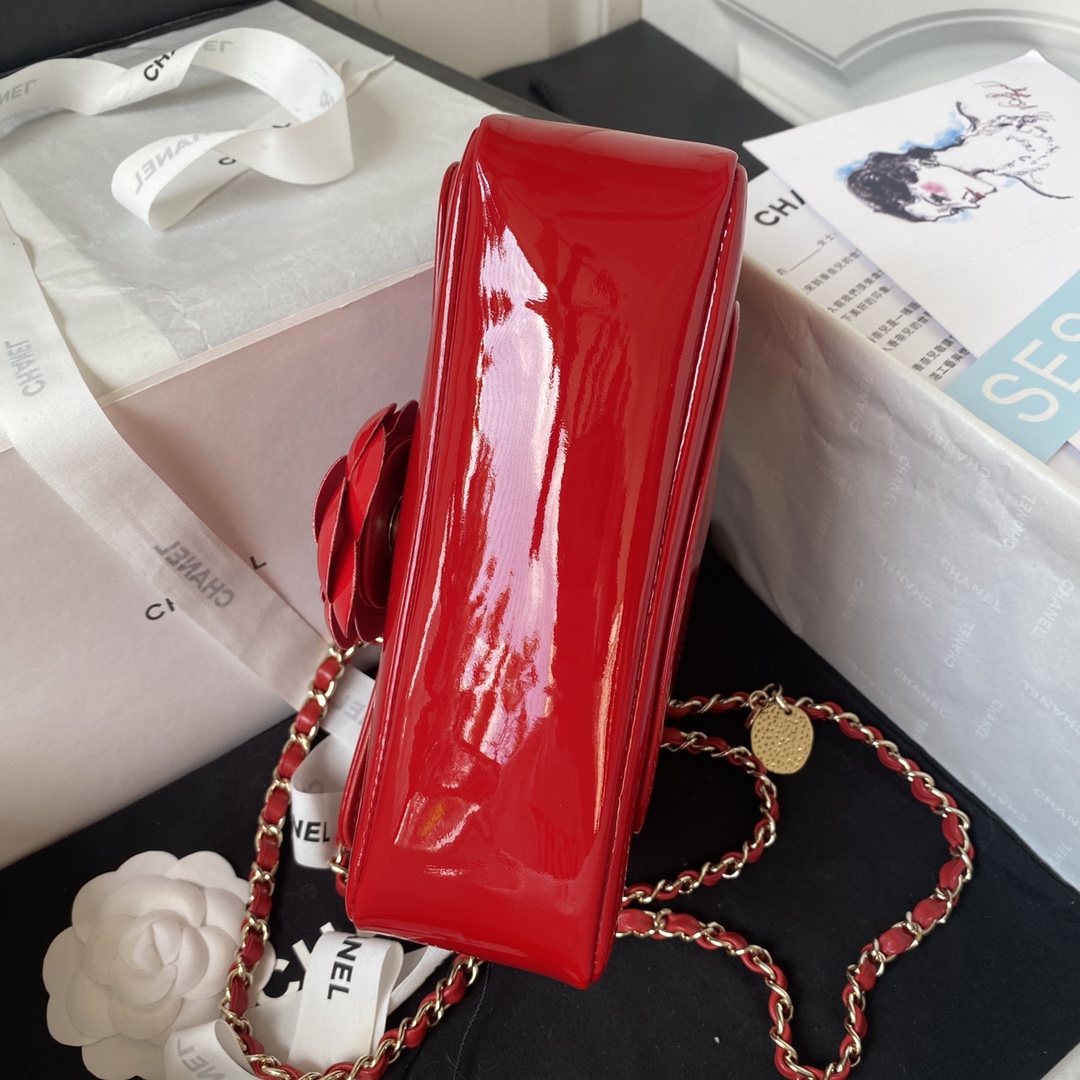 CHANEL-67 - 图片 6