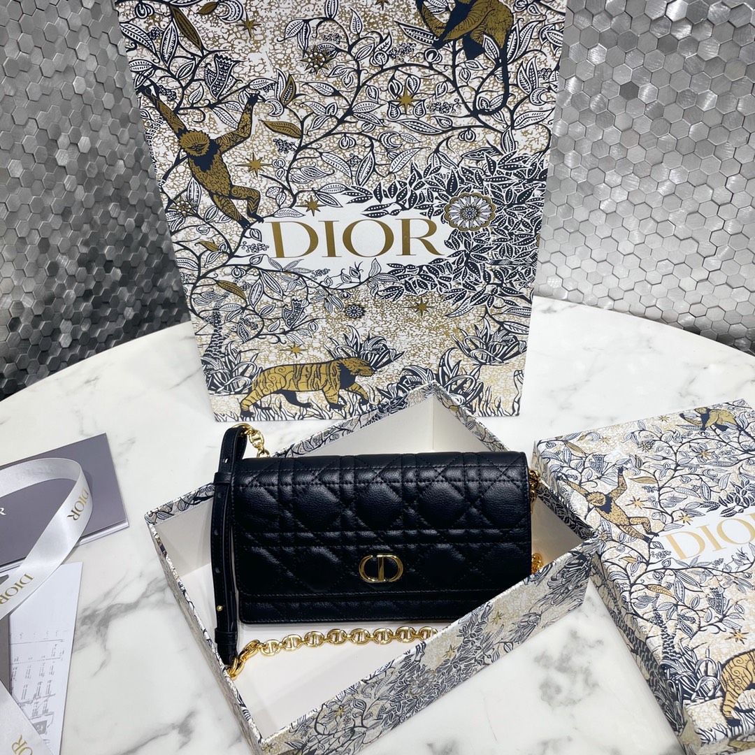 DIOR-16 - 图片 18