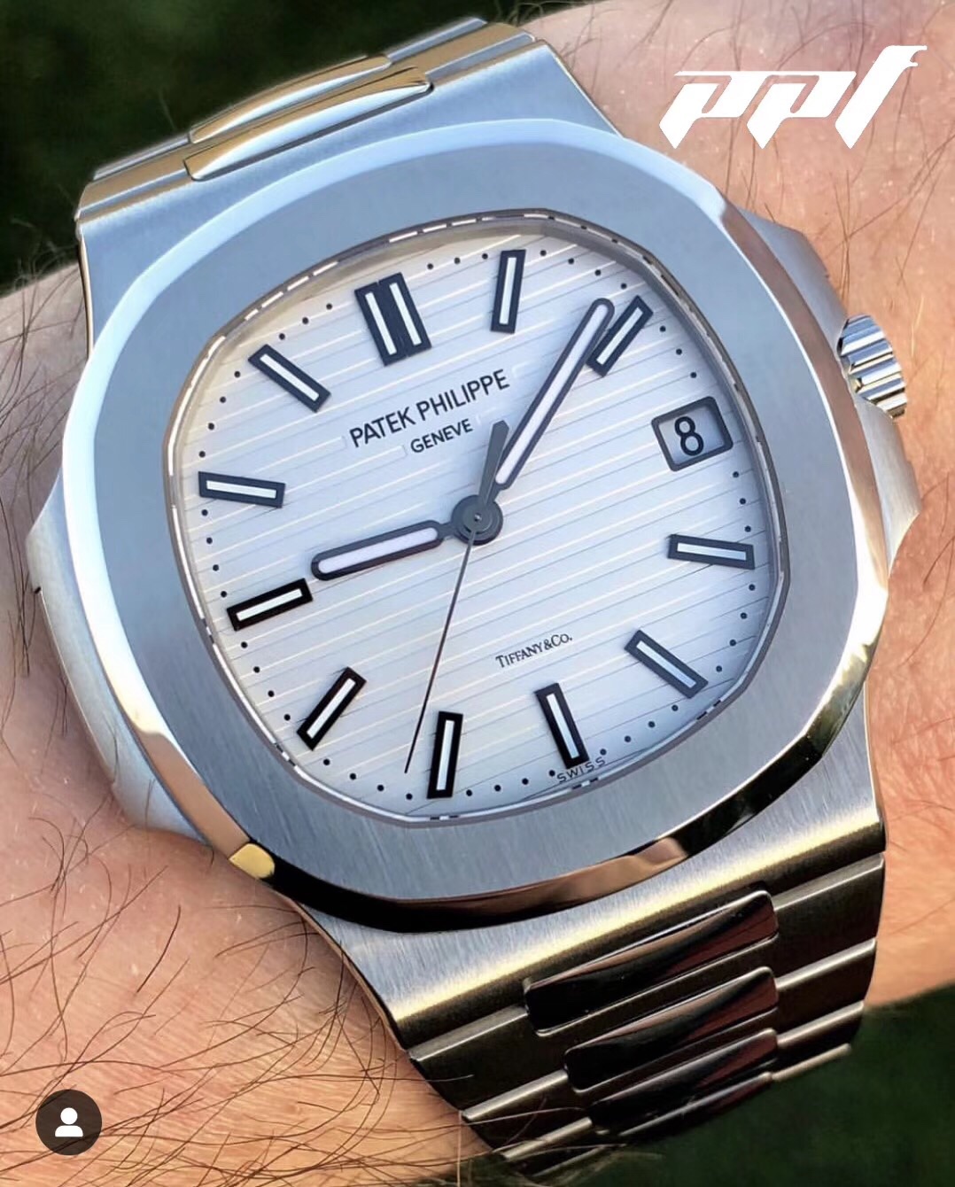 Super Nautilus Series - 图片 7